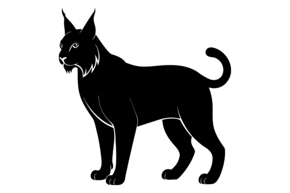 Black Silhouette of a Standing Lynx